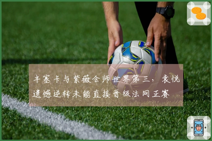 丰塞卡与紫薇会师世界第三，袁悦遗憾逆转未能直接晋级法网正赛