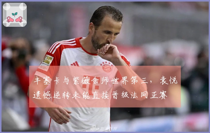 丰塞卡与紫薇会师世界第三，袁悦遗憾逆转未能直接晋级法网正赛